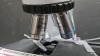 LW SCIENTIFIC LAB MICROSCOPE WITH 4 OBJECTIVES (10X, 20X, 40X, 100X) AND EYE PIECES - 9