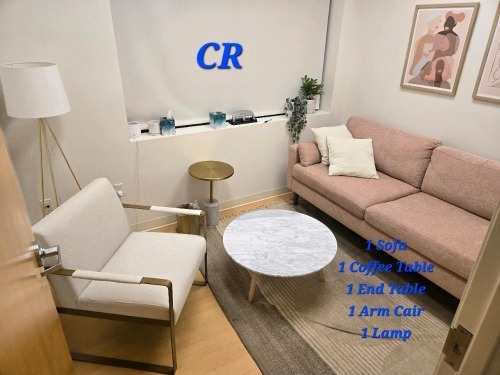 CONSULTATION ROOM FURNITURE TO INCLUDE: 1 SOFA, 1 ARM CHAIR, 1 COFFEE TABLE, 1 END TABLE, 1 RUG, 1 LAMP