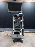 KARL STORZ ENDOSCOPY SYSTEM TO INCLUDE 22201020 IMAGE 1 HUB CAMERA CONTROL UNIT, 20133120 XENON 300 LIGHT SOURCE, 26432020 THERMOFLATOR, 20205620 AIDA HD CONNECT, SONY UP-DR80MD PRINTER & WIDEVIEW HD MONITOR