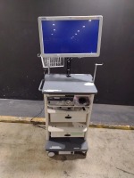 KARL STORZ ENDOSCOPY SYSTEM TO INCLUDE 22201020 IMAGE 1 HUB CAMERA CONTROL UNIT, 20131520 XENON 175 LIGHT SOURCE & LED HD MONITOR ON CART