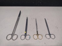 LOT OF SCISSORS