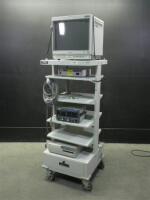 STORZ 222000 20 ENDOSCOPY SYSTEM TO INCLUDE: 222000 20 CAMERA CONTROL UNIT, 26012 ENDOFLATOR, PRINTER, MONITOR, TOWER