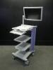 OLYMPUS WM-NP1 ENDOSCOPY CART WITH 26 INCH HD MONITOR