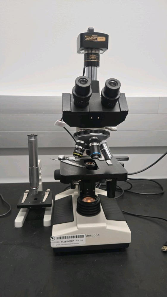 AMSCOPE LAB MICROSCOPE WITH MU1000 MICROSCOPE DIGITAL CAMERA, FMA050 ...
