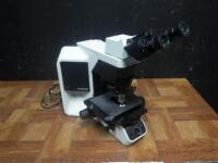 OLYMPUS BX-46 MICROSCOPE WITH 10X EYEPIECES, AND 3 OBJECTIVES: 10, 40, N