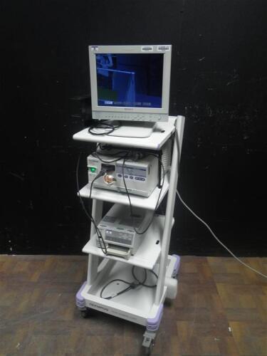 OLYMPUS ENDO CART WITH SONY MONITOR, OLYMPUS OTV-SI CAMERA CONSOLE WITH CAMERA HEAD, AND PRINTER