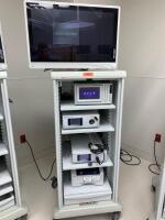 STRYKER 1288 ARTHROSCOPY SYSTEM TO INCLUDE: SDC3 INFORMATION MANAGEMENT SYSTEM, 1288HD CAMERA BOX, L9000 LIGHT SOURCE, SDP 1000 DIDGITAL COLOR PRINTER ON CART W/ 26" MONITOR