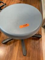 RITTER EXAM STOOL