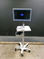 BOSTON SCIENTIFIC AVVIGO+ GUIDANCE SYSTEM