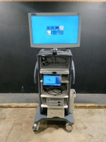 KARL STORZ ENDOSCOPY SYSTEM TO INCLUDE IMAGE 1 S (4U-LINK TC304, H3-LINK TC300, CONNECT II TC201) CAMERA CONTROL UNITS, WD300 AIDA, SONY UP-DR80MD PRINTER & 4K SC-WK32-G1B07 MONITOR ON CART