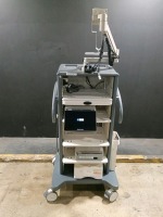 KARL STORZ ENDOSCOPY SYSTEM TO INCLUDE IMAGE 1 S (4U-LINK TC304, CONNECT II TC201) CAMERA CONTROL UNITS, WD300 AIDA & SONY UP-DR80MD PRINTER ON CART