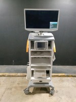 SONY LMD-X310MT MONITOR WITH SMITH & NEPHEW 660HD-E IMAGE MANAGMENT SYSTEM ON CART