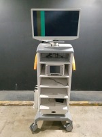 SONY LMD-X310MT MONITOR WITH SMITH & NEPHEW 660HD-E IMAGE MANAGMENT SYSTEM ON CART