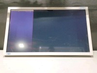 NDS HD RADIANCE G2 MONITOR