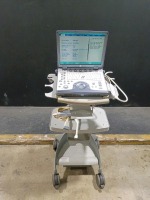 GE LOGIQ E PORTABLE ULTRASOUND MACHINE WITH 2 PROBES (12L, E8C) (SERIAL# 46042WX8) (DOM: SEPT. 2006)
