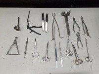 LOT OF VARIOUS INSTRUMENTS