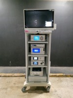 STRYKER ENDOSCOPY SYSTEM TO INCLUDE 1488 HD CAMERA CONTROL UNIT, L9000 LIGHT SOURCE, PNEUMO SURE HIGH FLOW INSUFFLATOR, SDC3 HD INFORMATION MANAGEMENT SYSTEM, SYNK WIRELESS TRANSMITTER, SDP1000 PRINTER & VISION PRO SYNK LED MONITOR ON CART