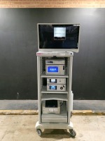 STRYKER ENDOSCOPY SYSTEM TO INCLUDE 1488 HD CAMERA CONTROL UNIT, L9000 LIGHT SOURCE, SDC3 HD INFORMATION MANAGEMENT SYSTEM, SYNK WIRELESS TRANSMITTER, SDP1000 PRINTER & VISION PRO SYNK LED MONITOR ON CART