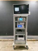 STRYKER ENDOSCOPY SYSTEM TO INCLUDE PNEUMO SURE HIGH FLOW INSUFFLARO, SDC3 HD INFORMATION MANAGEMENT SYSTEM, SYNK WIRELESS TRANSMITTER, SDP1000 PRINTER & VISION PRO SYNK LED MONITOR ON CART