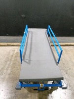 WARDRAY PREMISE MR 5501 STRETCHER TROLLEY