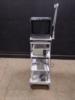 OLYMPUS EU-M30S ENDOSCOPIC ULTRASOUND CENTER WITH MAJ-682 PROBE DRIVING UNIT & OEV143 MONITOR ON CART