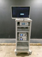 STRYKER ENDOSCOPY SYSTEM TO INCLUDE 1488 HD CAMERA CONTROL UNIT, L9000 LIGHT SOURCE, 40L HIGH FLOW INSUFFLATOR, SYNK WIRELESS TRANSMITTER & VISION PRO LED MONITOR ON CART