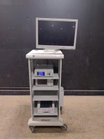 STRYKER ENDOSCOPY SYSTEM TO INCLUDE 1288 HD CAMERA CONTROL UNIT, SDC ULTRA HD INFORMATION MANAGEMENT SYSTEM, SDP1000 PRINTER & WISE HD MONITOR ON CART