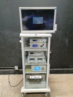 STRYKER ENDOSCOPY SYSTEM TO INCLUDE 1188 HD CAMERA CONTROL UNIT, X8000 LIGHT SOURCE, SDC CLASSIC HP CAPTURE DEVICE, PNEUMO SURE INSUFFLATOR, ARTHREX AR-8300 & VISON ELECT HDTV MONITOR ON CART