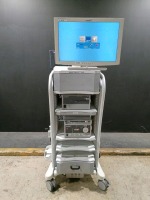KARL STORZ ENDOSCOPY SYSTEM TO INCLUDE TC 200 IMAGE 1 S CAMERA CONTROL UNIT, ARTHREX IR8200 XENON 300 LIGHT SOURCE, ARTHREX IR8600 AIDA HD CONNECT & ARTHREX MONITOR ON CART