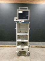 KARL STORZ ENDOSCOPY CART WITH NDS RADIANCE MONITOR