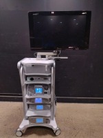 ARTHREX ENDOSCOPY SYSTEM TO INCLUDE AR-3200 SYNERGY UHD4 4K VISION LED CAMERA CONTROL UNIT, AR-6480 DUAL WAVE ARTHROSCOPY PUMP, AR-9800 SYNERGY RF BIPOLAR ABLATION CONSOLE, AR-8305 SYNERGY RESECTION SHAVER CONSOLE, AR-3290 SYNERGY INSUFFLATION, SAMSUNG T