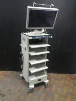 STORZ ENDO CART WITH MONITOR AND PRINTER