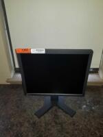 EIZO RadiForce RS110 - LCD monitor - 1MP - color - 19"