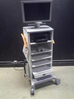 SMITH & NEPHEW ENDOSCOPY CART