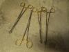 LOT OF BABCOCK TISSUE FORCEPS