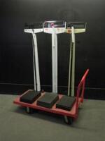 LOT OF SCALES (QTY. 3)(NO CART)