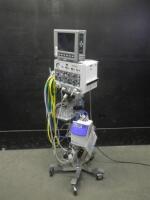VIASYS BEAR CUB 750PSV INFANT VENTILATOR WITH VGM MONITOR ON ROLLING STAND