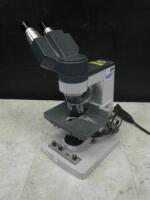 AMERICAN OPTICAL ONE-TEN LAB MICROSCOPE WITH 2 EYEPIECES AND 4 OBJECTIVES