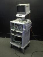 OLYMPUS EVIS ENDOSCOPY SYSTEM TO INCLUDE: CV-100 VIDEO PROCESSOR, CLV-U20 LIGHT SOURCE, MH-236 PIGTAIL, MONITOR, WM-60 MOBILE WORKSTATION