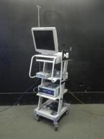 OLYMPUS ENDOSCOPY SYSTEM TO INCLUDE: OTV-SC VIDEO SYSTEM, TRI-ANIM LUMISTAR LL300 LIGHT SOURCE, MONITOR, COMPACT TROLLEY
