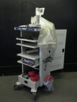 STORZ ENDOSCOPY SYSTEM TO INCLUDE: 20204520 SCB AIDA DVD-M UNIT, GOKART 9601F