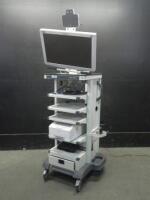 STORZ ENDOSCOPY TOWER TO INCLUDE: 26 INCH WIDEVIEW MONITOR, SONY DIGITAL COLOR PRINTER, GOKART 9601G