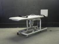 HAUSMANN 6040 TILT TABLE WITH HAND CONTROL