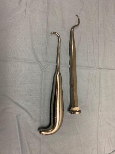 LOT OF 2 BONE HOOKS