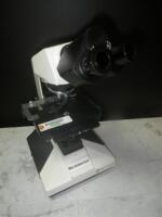 FISHER SCIENTIFIC MICROMASTER LAB MICROSCOPE (NO OBJECTIVES)