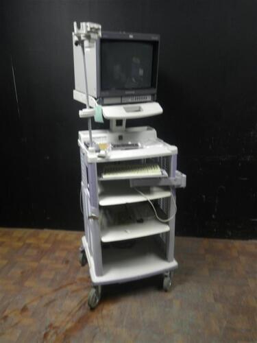 OLYMPUS ENDO CART WITH MONITOR AND KEYBOARD