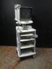 OLYMPUS ENDO CART WITH MONITOR AND KEYBOARD