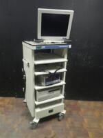 STORZ ENDO CART WITH MONITOR, 26430520 ELECTRONIC ENDOFLATOR, AND PRINTER