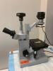 LAB MICROSCOPE WITH AMSCOPE MU800 CAMERA ATTACHMENT