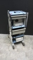 BOSTON SCIENTIFIC ENDO CART WITH SPYGLASS CAMERA CONSOLE WITH CAMERA HEAD, LIGHT SOURCE, AND OLYMPUS OEP-4 PRINTER